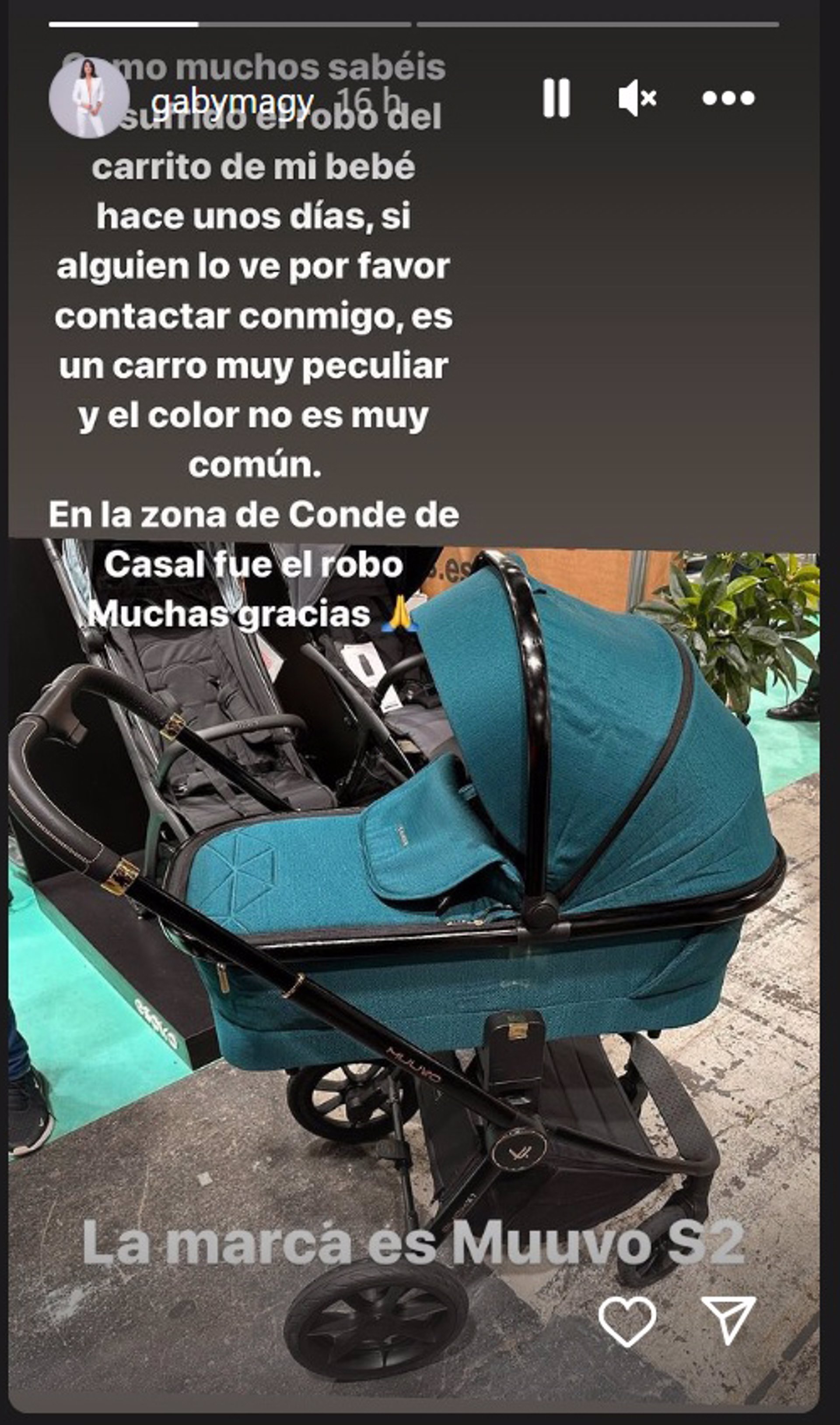 Gabriela Guillén llamamiento desesperado para encontrar su carrito