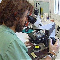 Científicos españoles hallan en bacterias un nuevo mecanismo de control para la traducción del código genético