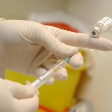 Científicos estadounidenses logran simular el sistema inmunológico humano para testar nuevas vacunas