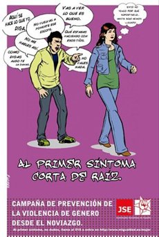 Hubo más de 25.000 denuncias de violencia de mujeres jóvenes durante el año 2007, según el Instituto de la Mujer