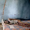Foto: Espen Rasmussen para MSF