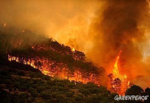 Foto de la Noticia