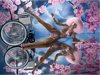 Foto: David LaChapelle