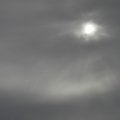 Foto: GRISES