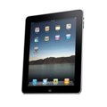 El iPad, ganador de los Fiasco Awards 2010 con m�s de la mitad de los votos