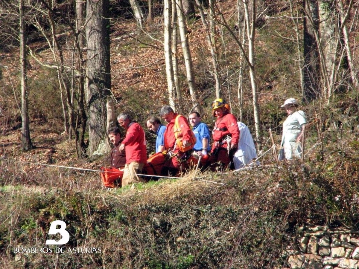 Trasladado al HUCA en helicóptero un hombre herido tras caerle un árbol