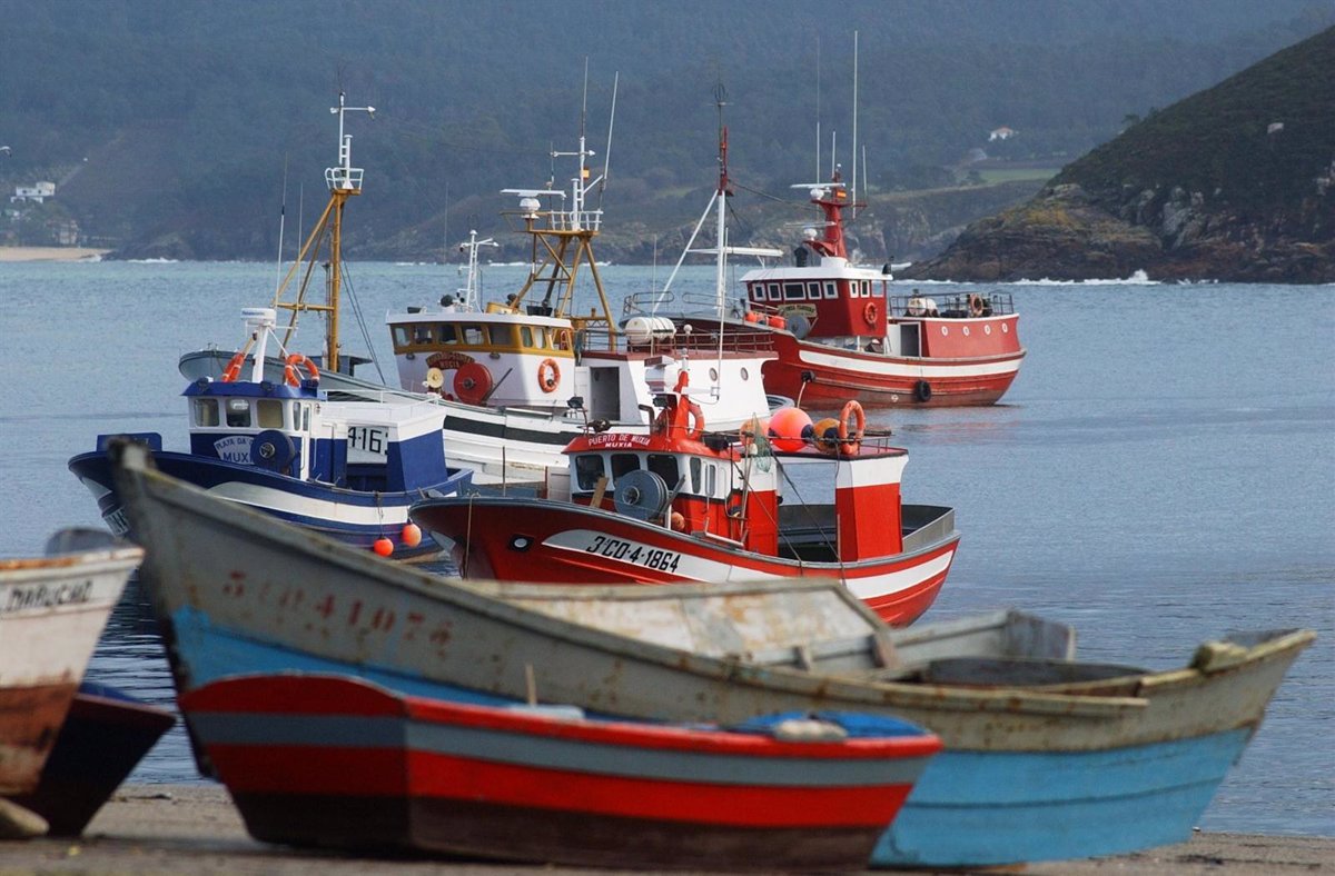 Greenpeace Y Oceana Celebran La Reforma De Pesca Pactada Por La UE