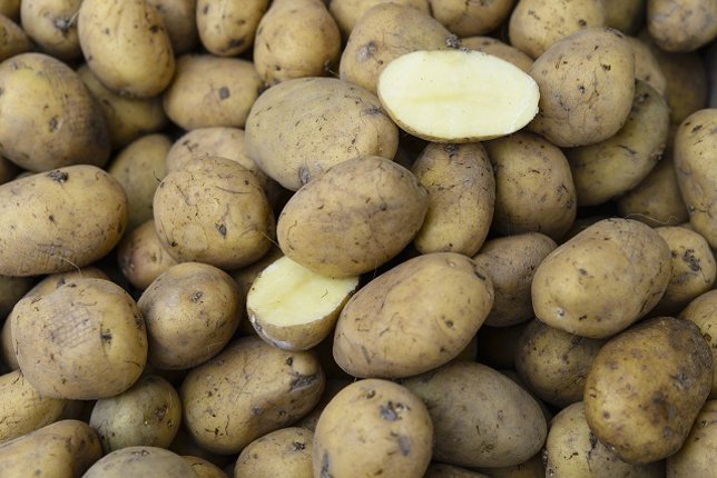 Patatas