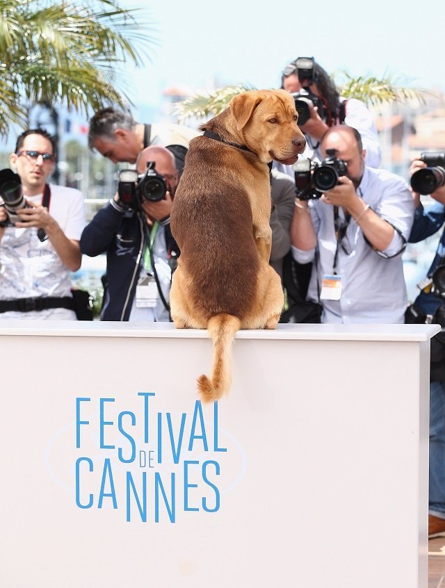 Hagen en el Festival de Cannes