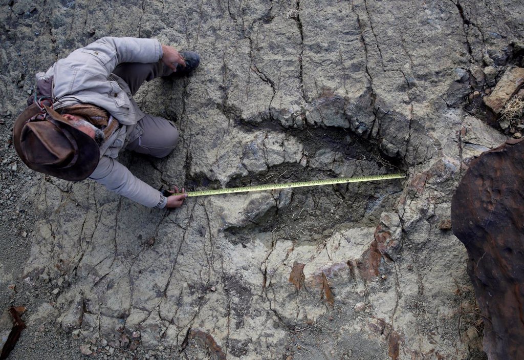 Encuentran En Bolivia La Huella De Dinosaurio M S Grande De La Historia