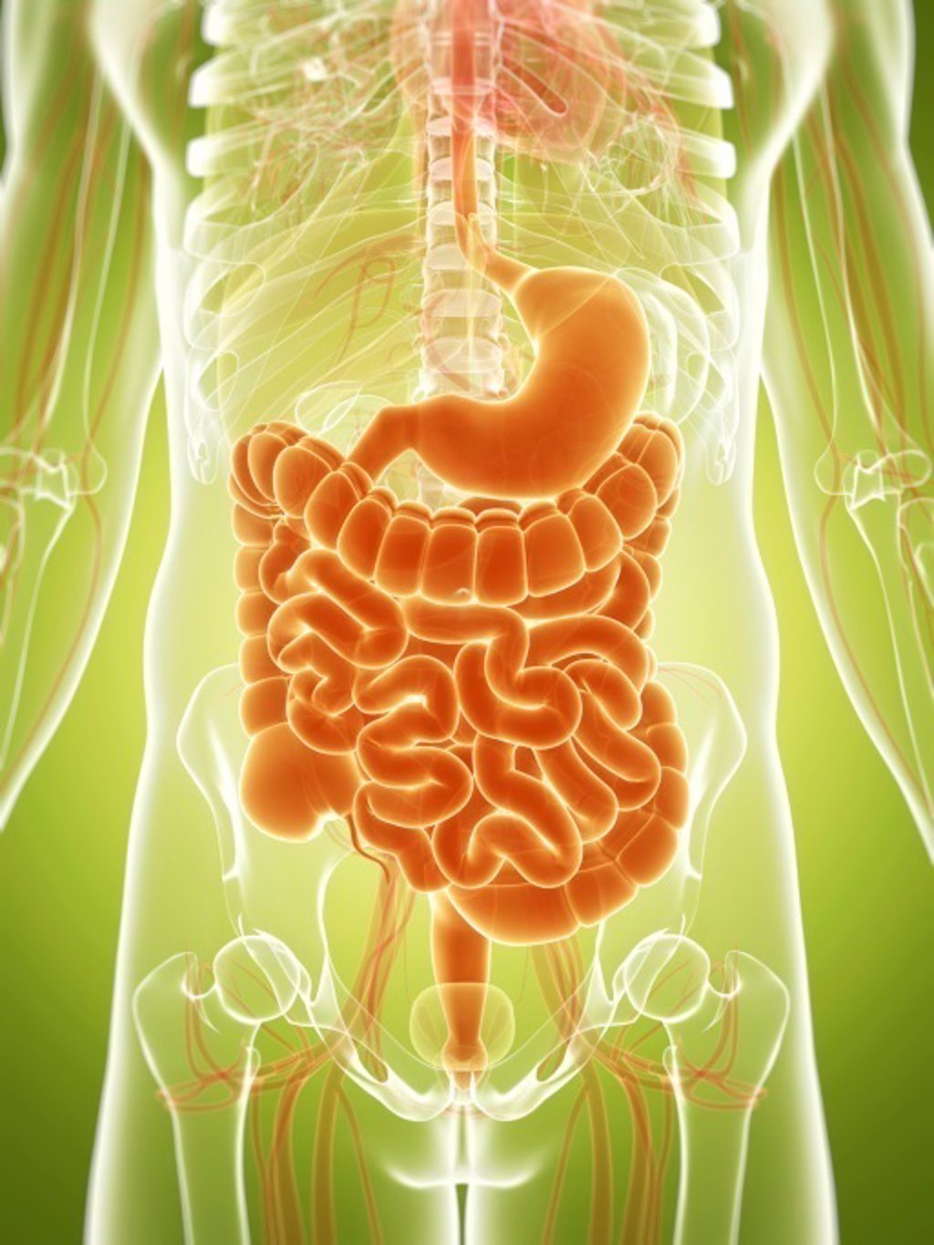 Claves Para Controlar La Enfermedad Inflamatoria Intestinal