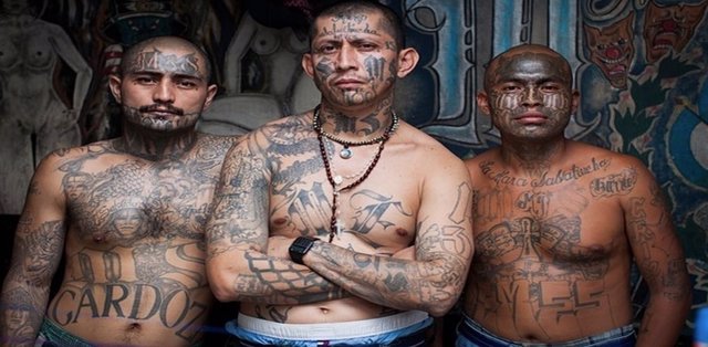 Las Vidas De Lujo Que Llevaban Los Pandilleros De MS 13 Y M 18 En Una