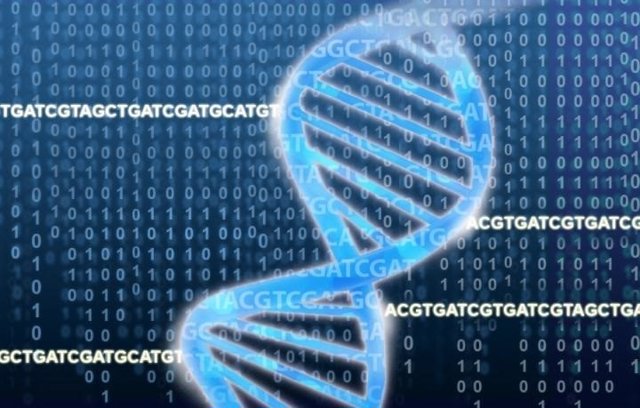 Identifican Genes En Las C Lulas Cancerosas Esenciales Para Que La