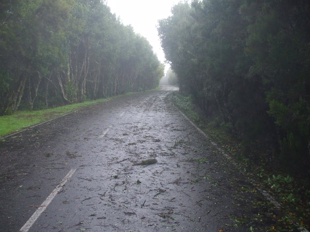 El Gobierno De Canarias Declara La Alerta Por Viento En Las Islas