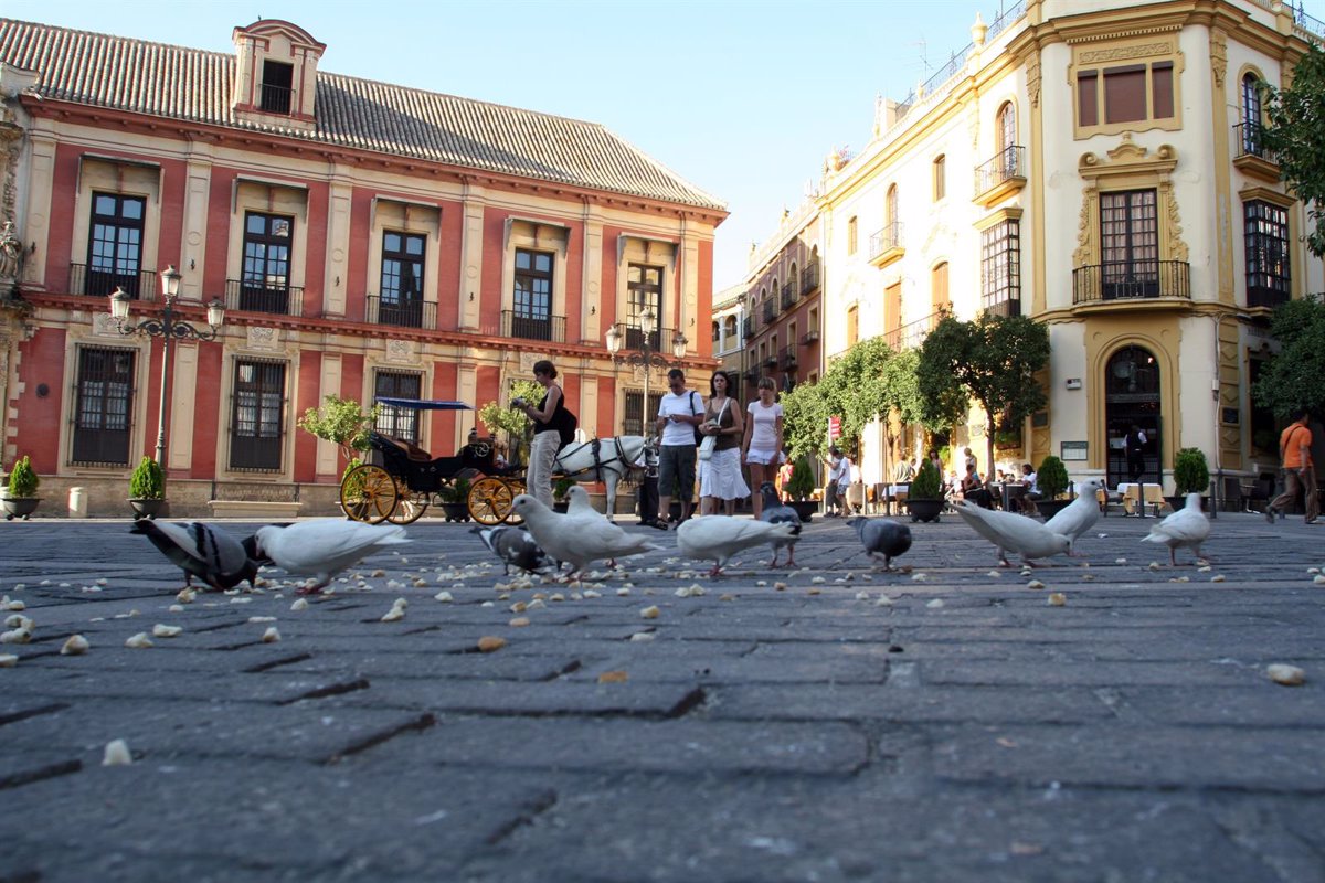 Arrancan La Pr Xima Semana Las Obras De Restauraci N De Las Fachadas