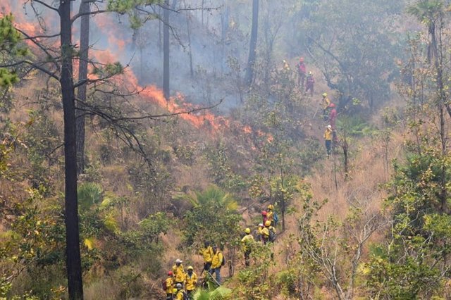 Los incendios forestales acaban con más de 10 000 hectáreas en Honduras