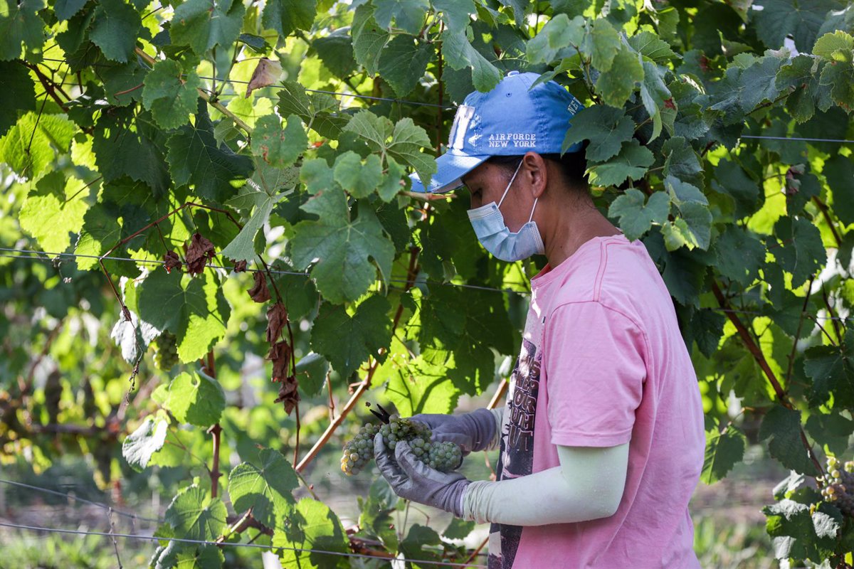 El Coste Laboral Cae Un En La Rioja En El Segundo Trimestre