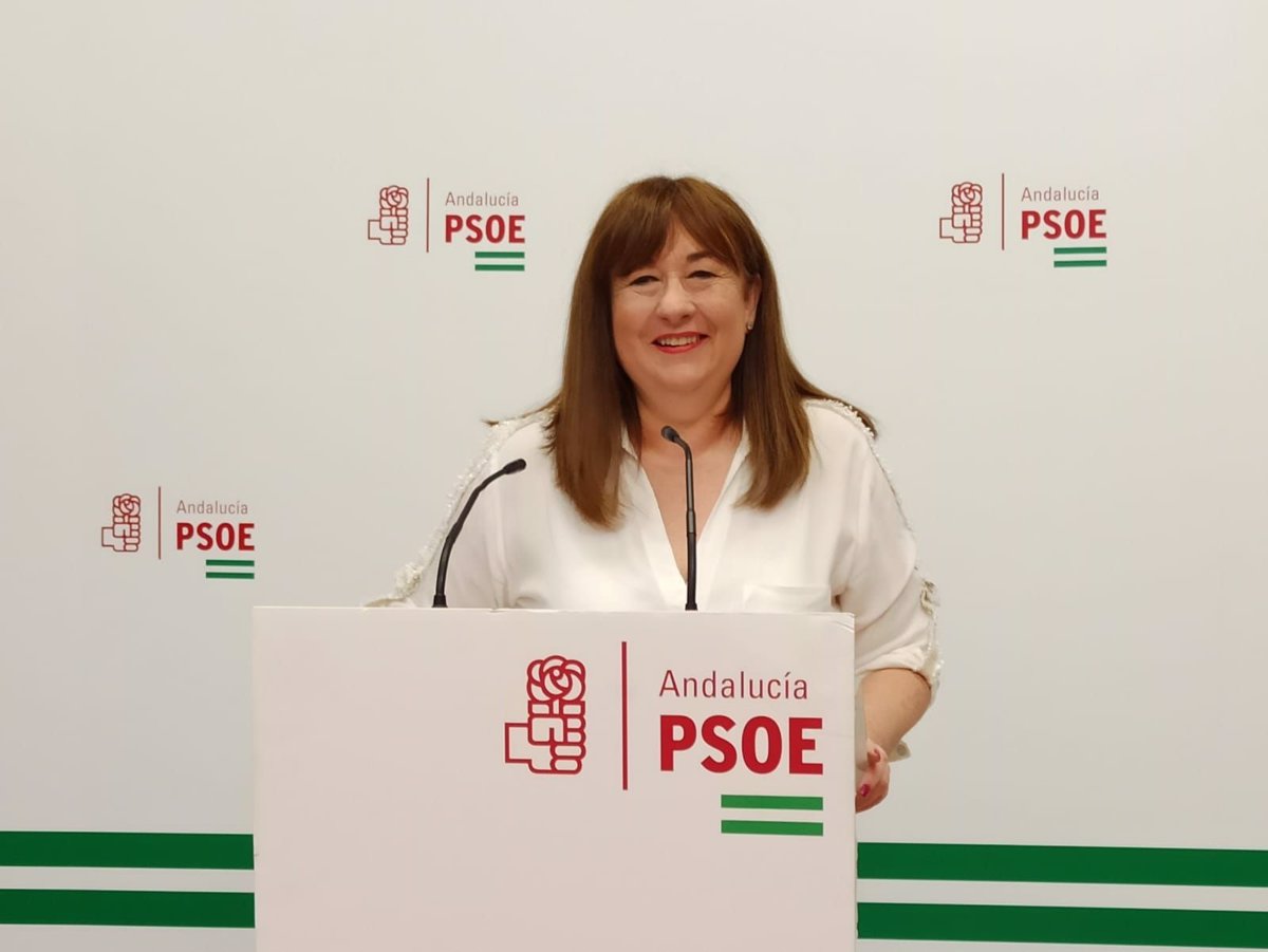 El PSOE A Critica Que La Junta Arruina A Pymes Por La Desastrosa