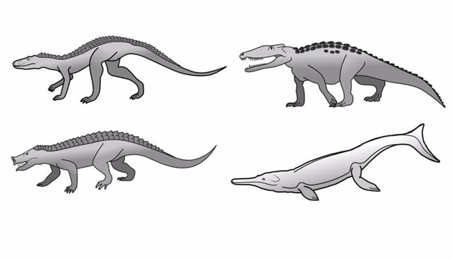 Por Qu Los Cocodrilos Han Cambiado Poco Desde La Era De Los Dinosarios