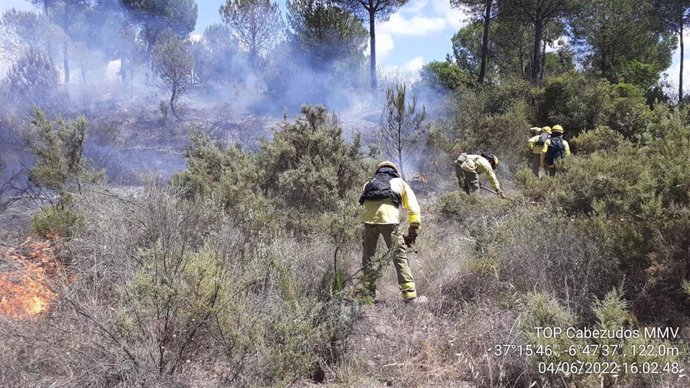 El Infoca Da Por Controlado El Incendio Forestal De Moguer Huelva