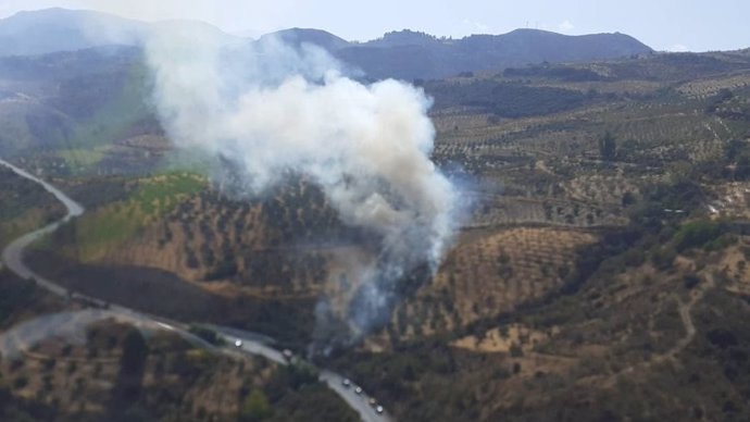 Controlado El Fuego Originado En Un Lateral De La A 395 En Pinos Genil