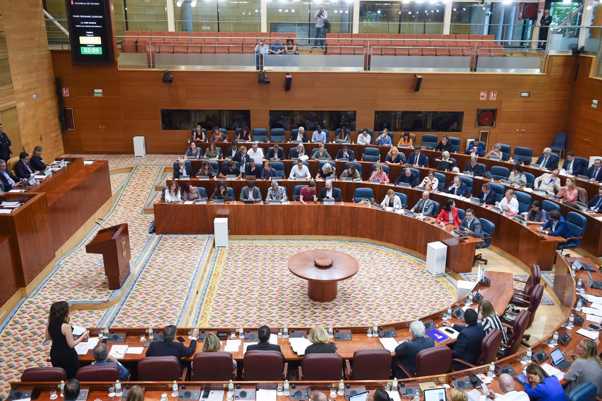 Unidas Podemos Presenta Recurso De Amparo Al Constitucional Contra La