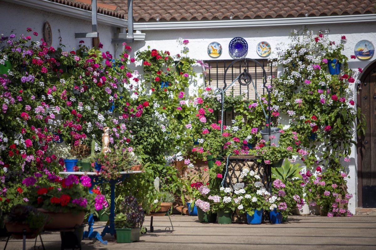 Espacios de Belmez Villanueva de Córdoba y Hornachuelos ganan el