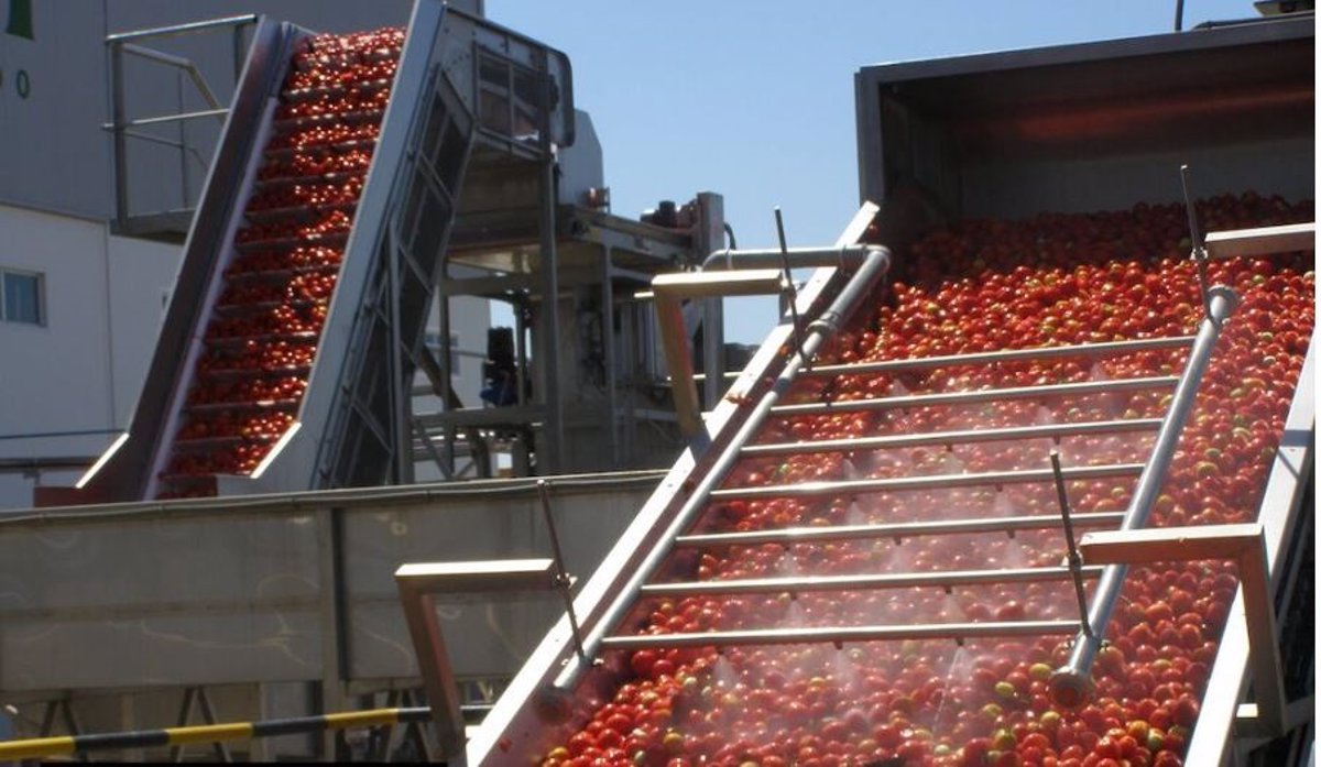 Las cooperativas agrarias de Extremadura facturan más de 1 500 millones