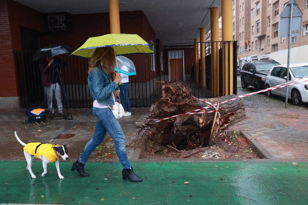 Emasesa Moviliza Un Dispositivo Especial Ante Las Incidencias Por La Lluvia