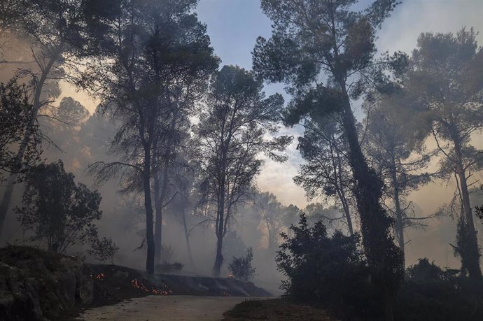 El fuego quema 84 546 hectáreas los primeros 10 meses del año tres