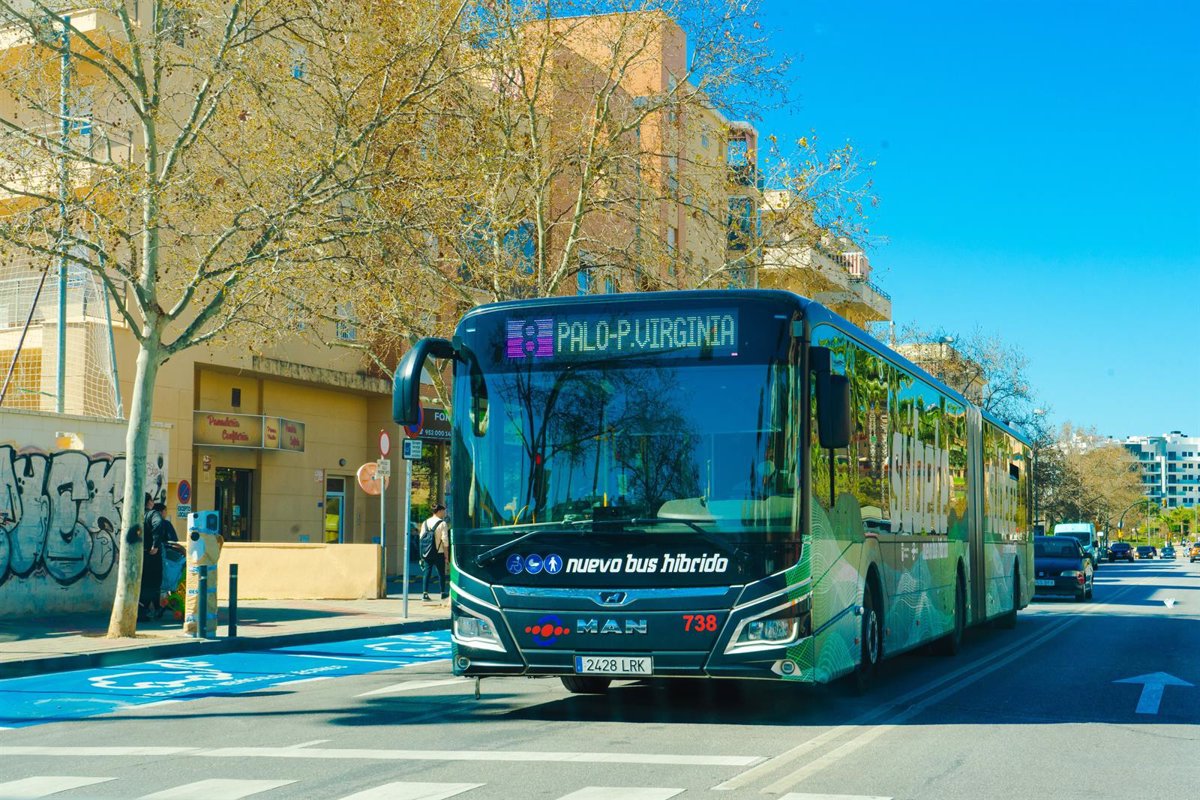 Las Personas Con Discapacidad Ya Pueden Acceder A Los Beneficios De La