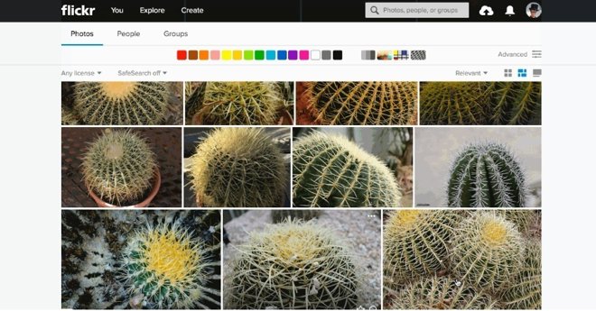 Búsqueda de imágenes similares 