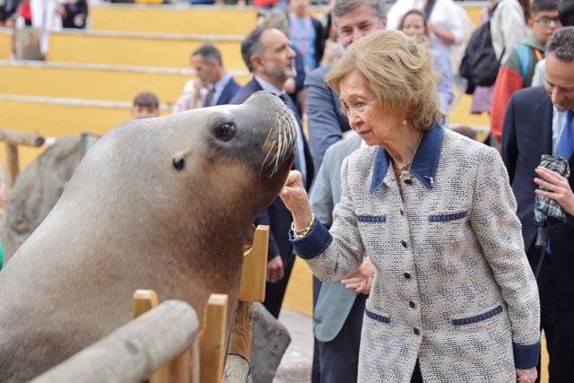 La Emérita, todo ternura con un león marino