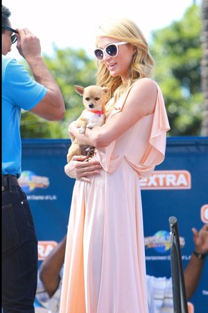 Paris Hilton, rota de dolor por la muerte de su chihuahua Tinkerbell