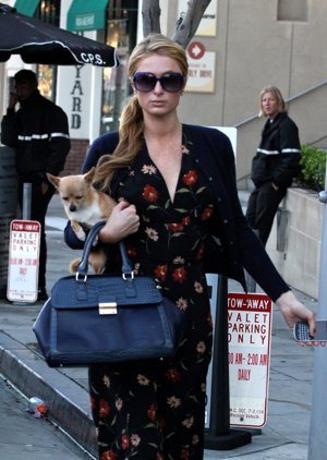 Paris Hilton, rota de dolor por la muerte de su chihuahua Tinkerbell