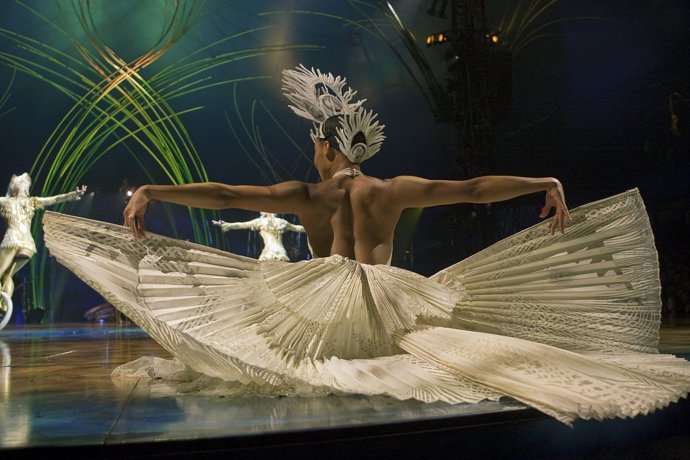 circo del sol amaluna