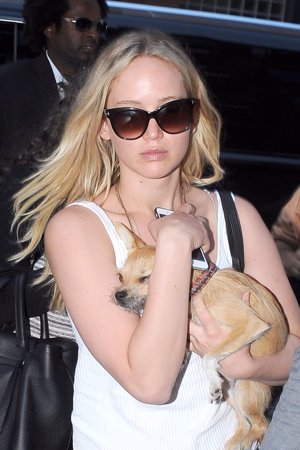 Jennifer Lawrence se refugia, 'del mal de amores', en su perro