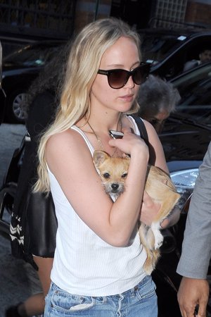 Jennifer Lawrence se refugia, 'del mal de amores', en su perro