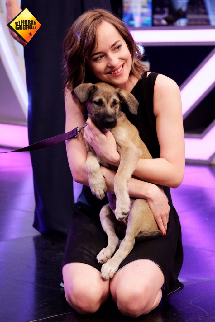 Dakota Johnson tierna con un cachorro