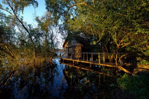 Sindabezi, una isla en África
