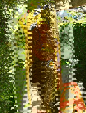 Cara Delevingne, ¿deja la moda?: 