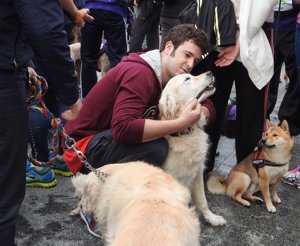 El Perrotón, la carrera solidaria por los animales de compañía