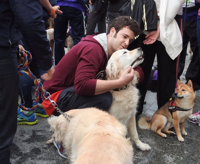 El Perrotón, la carrera solidaria por los animales de compañía
