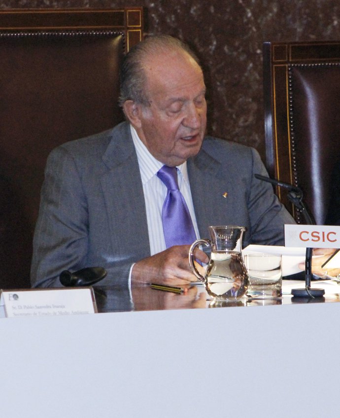 El Rey Juan Carlos