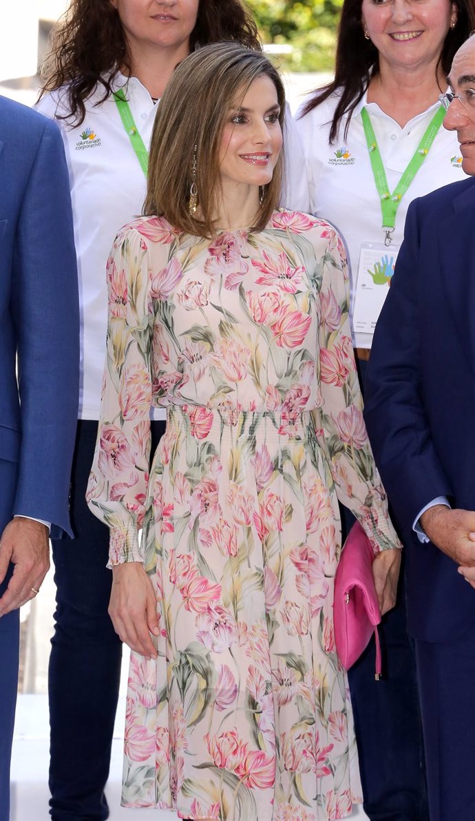 Vestido de zara doña letizia