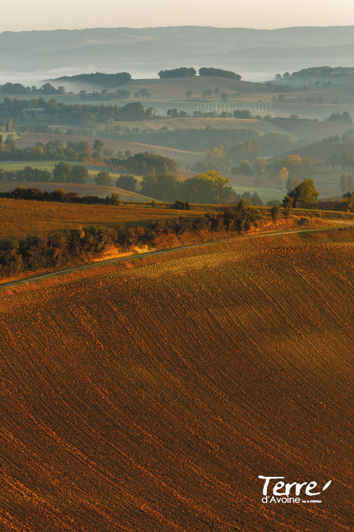 Tierras de A-derma, cultivo