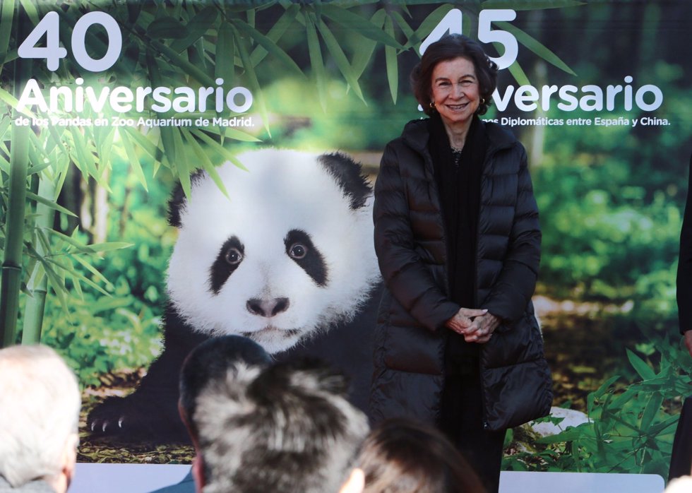 REY  JUAN CARLOS Y DOÑA SOFÍA - AGENDA Y ACTIVIDADES - Página 60 Fotogaleriafamosos_185322_980