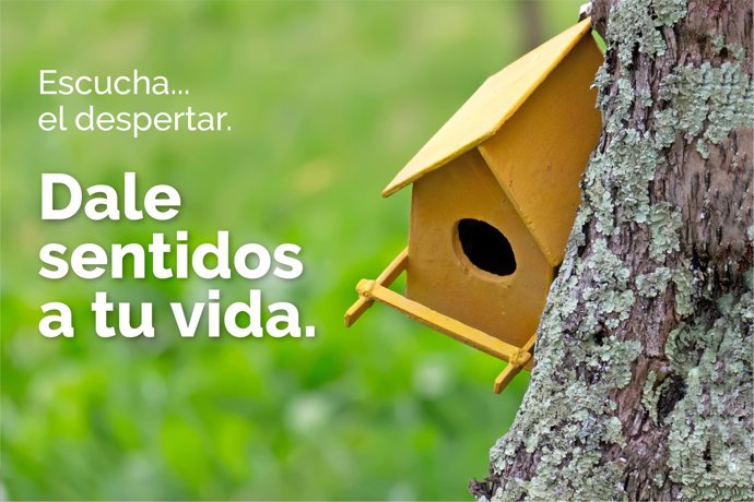 Oído, disfruta de el cantar de los pájaros cada mañana y del crujido y movimiento del aíre sobre los árboles