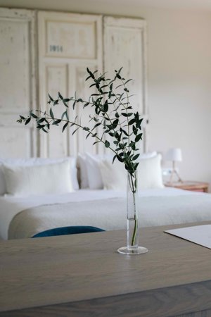 HOTEL ECO RESORT MAS SALAGROS