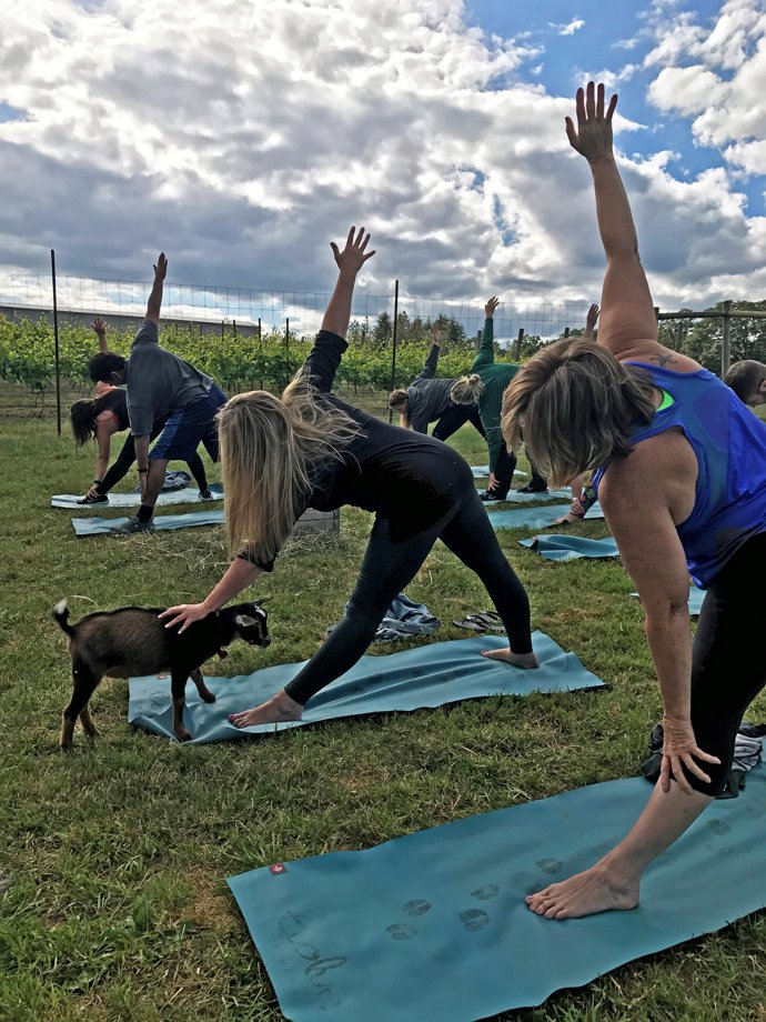 YOGA CON CABRAS EN OREGÓN